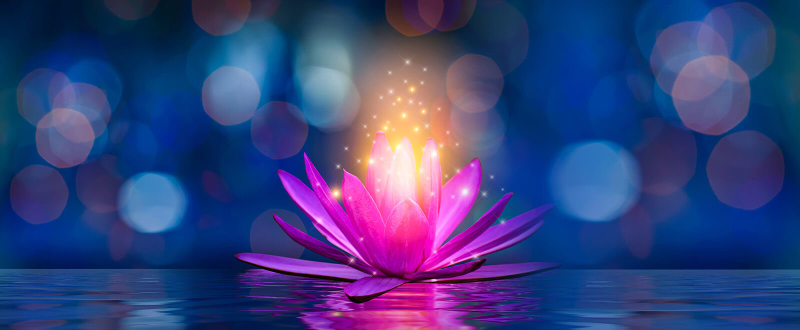healing lotus