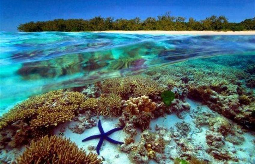 The changing way of Reiki took 