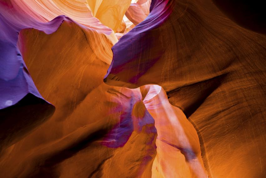 The House That Karuna Healed